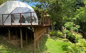 Cupi Glamping